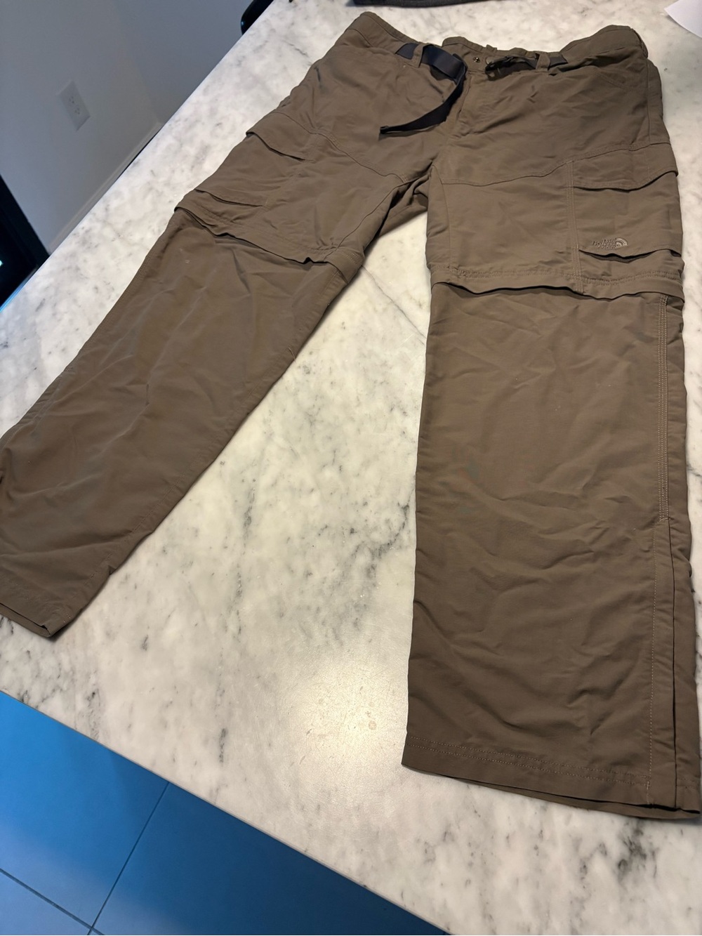 The North Face Men's Cargo Convertible Pants in Brown